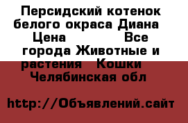 Персидский котенок белого окраса Диана › Цена ­ 40 000 - Все города Животные и растения » Кошки   . Челябинская обл.